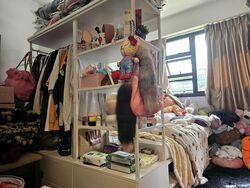 Blk 120A Punggol Edge (Punggol), HDB 4 Rooms #485747141